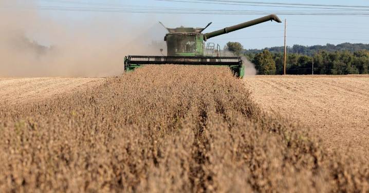 Missouri crop farmers suffer as harvest brings low prices
