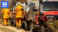 Bushfire emergency warning for Nugent in south