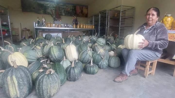 Con 50 años en el campo, Doña Ocotlán presume buena cosecha de calabaza criolla