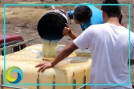 Aseguran más de 12 mil litros de hauchicol en Degollado, Jalisco