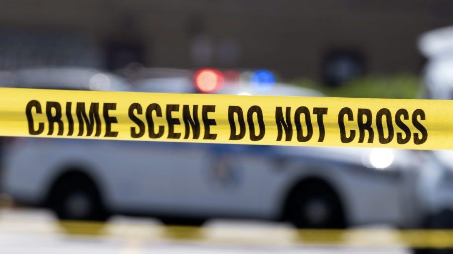 LA police accuse ‘Playboy,’ ‘Penthouse’ model of string of high