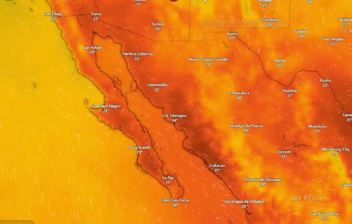 Clima en La Paz y Los Cabos domingo 19 octubre 2025