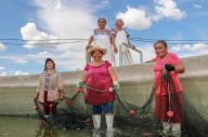 Conapesca impulsa el empoderamiento de 595 mujeres rurales acuacultoras