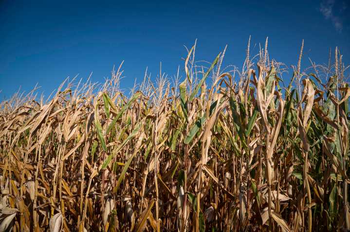 Vermont officials ask for statewide disaster designation amid ongoing drought