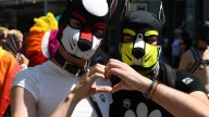 Internet forja una nueva generación de tribus urbanas: de los 'furries' a los 'cottagecores'
