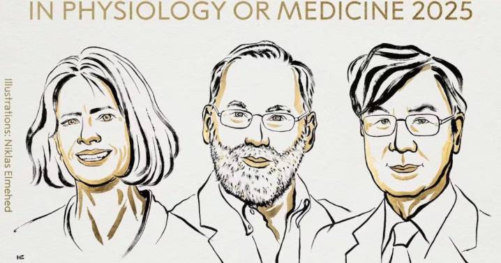 Nobel de Medicina 2025 para Mary E. Brunkow, Fred Ramsdell y Shimon Sakaguchi