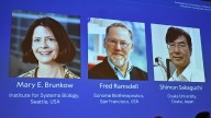 American, Japanese scientists win Nobel prize in medicine