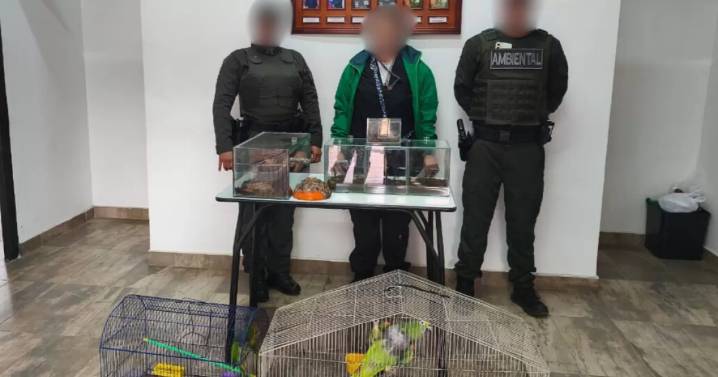Autoridades de Bogotá rescatan 12 animales silvestres víctimas del tráfico ilegal durante la semana