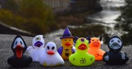Picturesque village near Glasgow to host Haunted Duck Race this Halloween