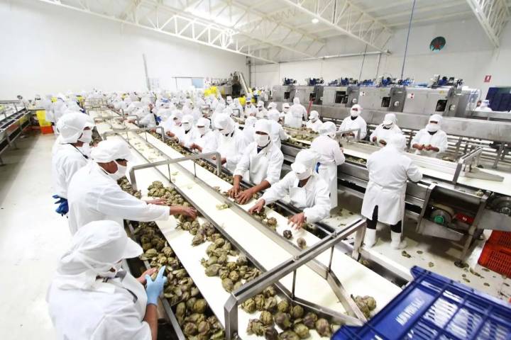 BCR: Masa salarial formal en Perú aumentó 8,4% en agosto