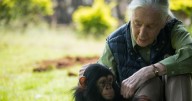 Prosopagnosia, la condición neurológica que padecía Jane Goodall