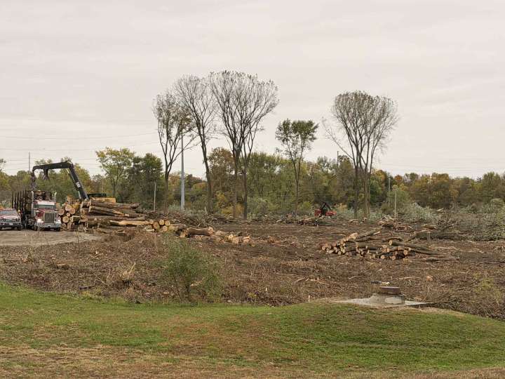 Circleville Clears Trees Near Wastewater Treatment Plant to Improve Safety and...