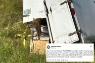 Innocent monkeys killed after Mississippi cops were mistakenly told they were dangerous with COVID and STDs