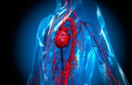 La inflamación puede ser el mayor enemigo del corazón