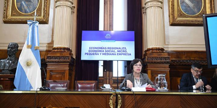 Senado: disputa entre libertarios y kirchneristas para endurecer o aliviar penas en el manejo de cooperativas