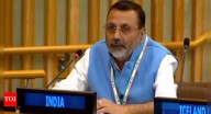 'Worst violator': India slams 'highly hypocritical' Pakistan at UN; calls out killings in Afghanistan