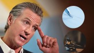 Gavin Newsom sorprendió con la firma de casi 800 leyes: las medidas que pueden cambiar la vida en California