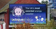 Octopus Energy says 87p 'buy now to save later' item slashes energy bills