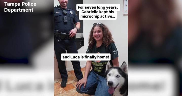VIDEO: Lost dog reunited with owner 7 years after he went missing: TPD