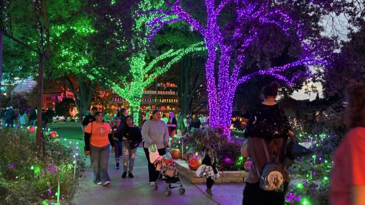 Crowd enjoys pumpkin trail's opening night at Amarillo gardens