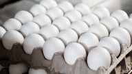 What are egg prices today? Check the Louisville egg price tracker