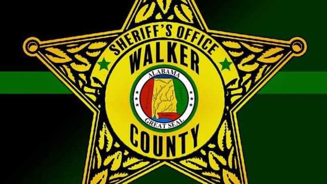 Walker County chief deputy charged with providing false information