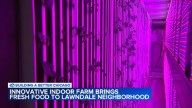 Indoor farming: How micro farm in Lawndale, Chicago yields harvest through the winter