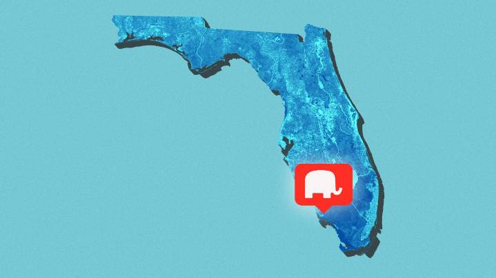 Inside the GOP's carpetbagger primary