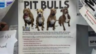 New bill may lift dog breed ban in Prince George's County