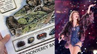 Monterey Bay Aquarium reissues Taylor Swift-worn otter tee; donations surge to over $900K
