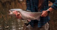 West Viringia DNR announces Monster Trout Contest