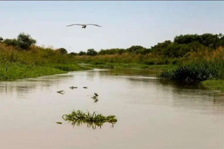Juez entrerriano ordenó restituir más de 800 hectáreas en las islas a Rosario