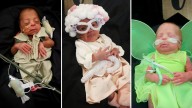 PHOTOS | Norton NICU babies in teeny tiny Halloween costumes