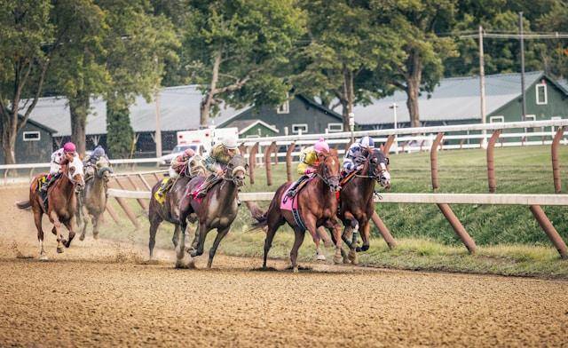 The Resurgence of Horse Racing as a Premier Spectator Sport