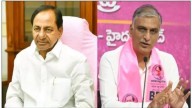 Telangana HC extends protection from arrest to KCR, Harish Rao