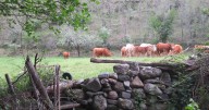Adiós a los acuerdos verbales en el campo: los tratos que no impliquen pagos también requerirán un contrato
