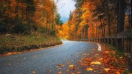 Love Fall? This May Be The Best Region For You To Live
