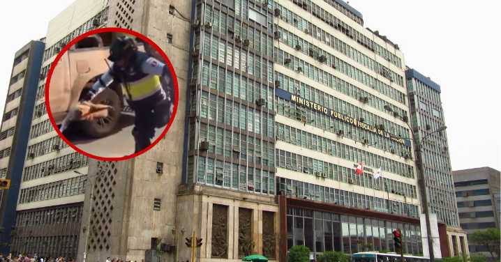 Denuncian maltrato contra oso perezoso durante rescate en Tocache: Fiscalía inicia investigación preliminar