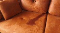 Con un truco casero: cómo remover las manchas de orina de gato de las alfombras y sillones
