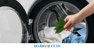 Ni suavizante ni perfume: el secreto natural del laurel para tu lavarropas