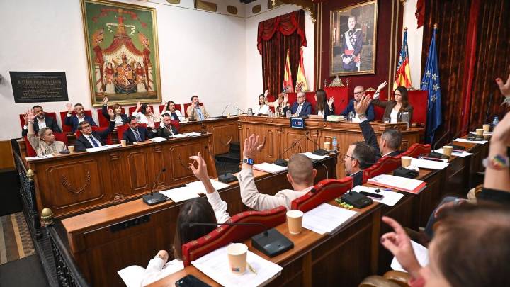 Lo nunca visto en el pleno de Elche