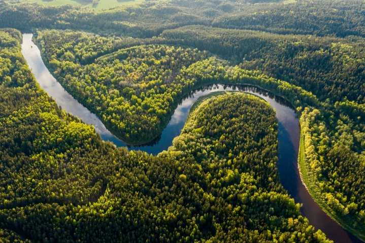 ¿Cómo afecta el cambio climático a los países Latinoamericanos? Expertos revelan claves para cubrir la COP30