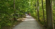 Input provided on plans to upgrade Beamer conservation area ‘encouraging’