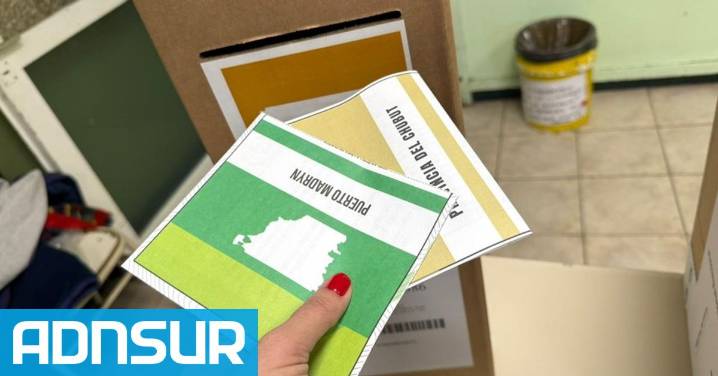Freno al voto joven en Madryn: se impuso el “No” en la histórica consulta popular
