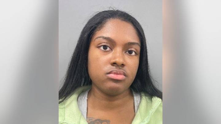 Suburban Chicago woman charged in fatal I-57 hit