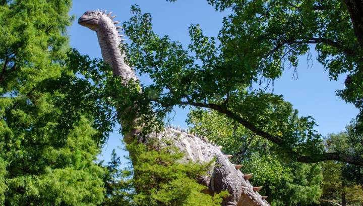 Alamosaurus: At 21 Meters Long, This Titanosaur Is The Largest Land Animal Ever Known To Have Lived In North America