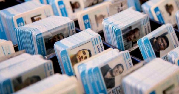 Licencia de conducir gratis: quiénes no deberán pagar el trámite en 2025 y cuáles son los requisitos