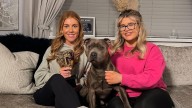 Gogglebox star Georgia Bell announces 'amazing' news in exciting life update