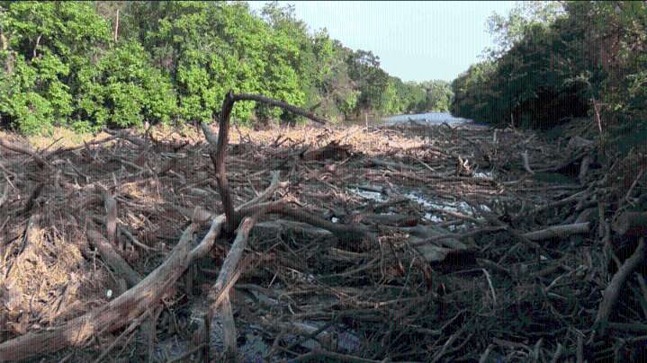 Salina approves additional $750,000 to remove log jam amid late summer storms