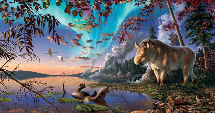 Scientists discover rhino that lived in Arctic 23 million years ago